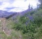 [Image: Gorgeous Views of Peak 10, 9, 8]