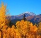 [Image: Gorgeous Views of Peak 10, 9, 8]