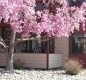 [Image: Luxery Condo in Castle Rock, Near to Denver. Amazing Remodel]