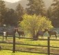 [Image: 2,100 Acre Ranch W/ Two Secluded Rustic Cabins]