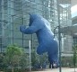[Image: Blue Bear Suite by Convention Center in the Very Heart of Denver Downtown]