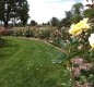 [Image: Charming Southwestern Style Ranch Home, Walking Distance to Light Rail]