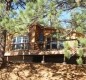 [Image: Quiet Mountain-View, Lakeside Cabin Among Giant Pines, Newly Built]