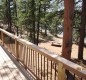 [Image: Quiet Mountain-View, Lakeside Cabin Among Giant Pines, Newly Built]