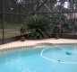 [Image: Affordable 3/BR 2/BA Home with Private Pool Close to Disney/Daytona Beach]