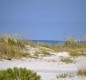 [Image: Beautiful White Sand Beach, Gulf Deep Sea Fishing]