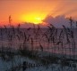 [Image: Great Vacation..St George Plantation on St George Island]