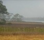 [Image: Great Vacation..St George Plantation on St George Island]