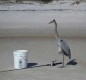 [Image: Prettiest Beach in Florida-and Trip Insurance on All Rentals!]