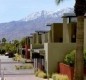 [Image: Contemporary Palm Springs Desert Oasis]