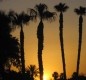 [Image: Great Condo in Palm Desert ~ Preferred Location. Super Clean!]