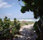 [Image: Luxury Townhouse with Private Elevator 2 Minute Walk to Beach]