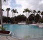 [Image: South Florida Paradise]