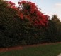 [Image: Ocean View Condo on South Hutchinson Island, Fl]