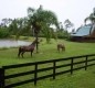 [Image: Peaceful 43 Acres Florida W/Lake,Horses,Close Jensen Beach &amp; Hutchison Island]