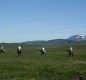 [Image: Your Own Ranch with Endless Views &amp; Activities Near Jackson Hole]
