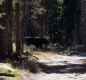 [Image: "Two Dog Chalet" (Snowy Range Mountains / Home on the River)]