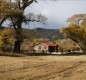 [Image: Deerwood Station- Relax in Our Beautiful Guest Cabin!]