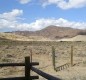 [Image: Halfway Between Yellowstone Park and Cody, Wyoming - Horses Welcome!]