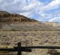 [Image: Halfway Between Yellowstone Park and Cody, Wyoming - Horses Welcome!]