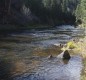 [Image: El Rancho Pequeno, Family-Friendly Premier Fly Fishing in Wyoming.]