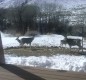 [Image: Vacation Home Overlooking Laramie River]