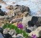 [Image: Beautiful Oceanfront Condo in Kailua-Kona, Hawaii]