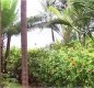 [Image: Oceanfront Building with Views from the Lanai]