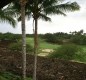 [Image: Elegant Golf Course Villa at the Fairways@Mauna Lani]