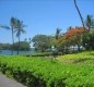 [Image: Hawaiian Paradise - Rates Starting at Only $150 Per Night]