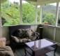 [Image: Rain Forest Hideaway, Enjoy the Country of Hilo]
