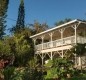 [Image: Elegant Polynesian Kona Coffee Estate in Heart of Holualoa-Walk to Town!]