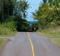 [Image: Lahiki O Ka Hale (House of the Rising Sun) Close to Ocean!]