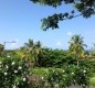 [Image: Oceanview Townhome Located in the Scenic Keauhou Area]