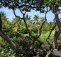 [Image: Oceanview Townhome Located in the Scenic Keauhou Area]