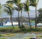 [Image: Aloha... Ready to Relax]