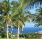 [Image: Hawaii Vacation @ Mauna Kea Resort - Unpublished Specials and Some Fees Paid!]