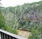 [Image: On a Bluff Overlooking Clear Creek, Sipsey Wilderness, Trails!]