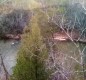 [Image: On a Bluff Overlooking Clear Creek, Sipsey Wilderness, Trails!]