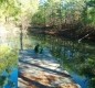 [Image: On a Bluff Overlooking Clear Creek, Sipsey Wilderness, Trails!]