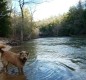 [Image: On a Bluff Overlooking Clear Creek, Sipsey Wilderness, Trails!]