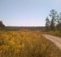 [Image: On a Bluff Overlooking Clear Creek, Sipsey Wilderness, Trails!]