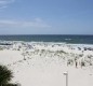 [Image: Beautiful Gulf Shores is Calling Your Name!]
