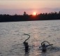 [Image: Turtle Flambeau Flowage Lakefront Cabin]