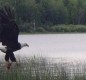 [Image: Turtle Flambeau Flowage Lakefront Cabin]