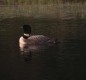 [Image: Fishtrap Lake/High Lake]