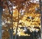 [Image: Stunning Log Lodges Located Half Hour North of Minocqua]