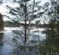 [Image: Beautiful Log Cabin on Vance Lake with Access to Sturgeon Lake]