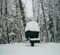 [Image: Beautiful Log Cabin on Vance Lake with Access to Sturgeon Lake]