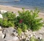 [Image: Waterfront with a Great Beach, Fireplace and Large Yard]